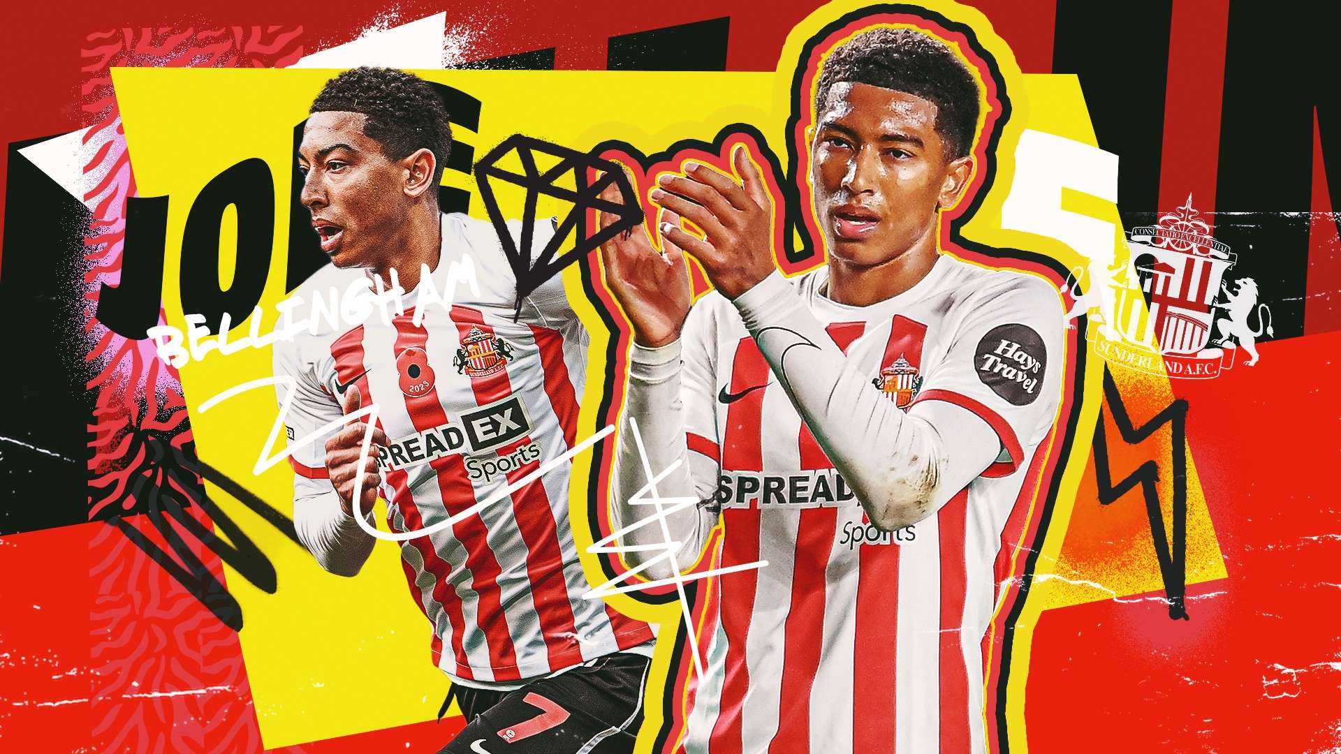 这篇文章将 这篇文章将